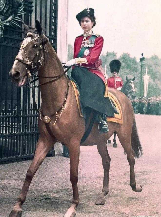 1663227307405151.jpg 1663227307405151.jpg